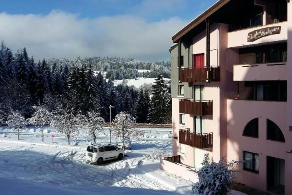 Appartement Montagne La Vallee Verte Coeur Station Hirmentaz Bellevaux Exterior photo